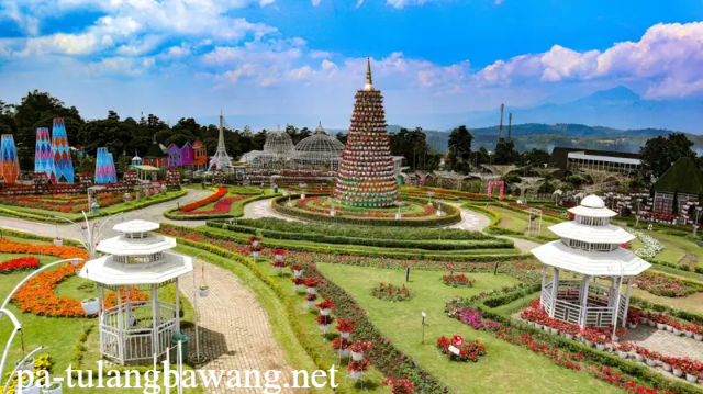 Keindahan Taman Celosia yang Bikin Taman Hidup